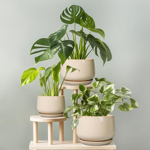 G EPGardening Ceramic Pot for Plants, 6 Inch Planter with Drainage, Beige - color: Beige, size: 5 Inch