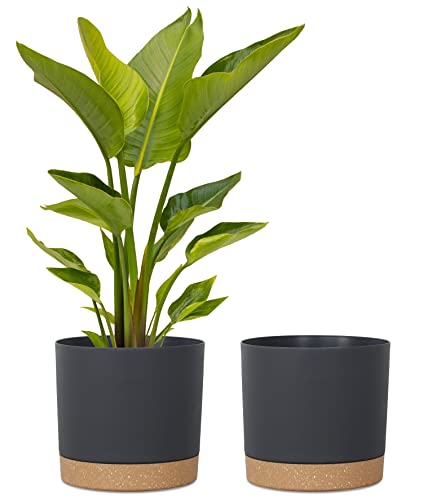 Plant Pots for Indoor Plants, 2 Pack 12 Inch Pots for Plants (12” Black) - color: Black, size: 12 Inch