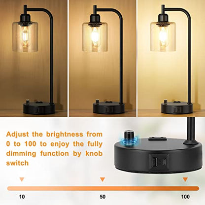 Industrial Bedside Lamps Set of 2, Fully Dimmable Desk Lamps for Bedroom - color: Seeded Clear