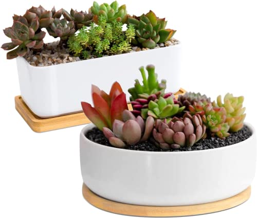 White Ceramic Succulent Plant Pots, 1 Rectangular Flower Pot + 1 Round Planter, Set of 2 Small Cactus Container, Bonsai Pots, Succulent Pots with Drainage Hole& Bamboo Tray (No Plant) - color: Rectangular+round