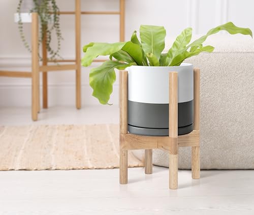 D'vine Dev Ceramic Pot with Natural Wood Stand, White/Grey, 8 in, 55-B-N-6 - color: White/Grey Pot + Natural Stand, size: 8 Inch