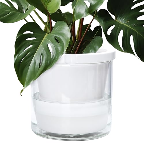 D'vine Dev Self-Watering White Terracotta Planter Pot, 10 in, 37-X-D-2 - color: White, size: 10 Inch