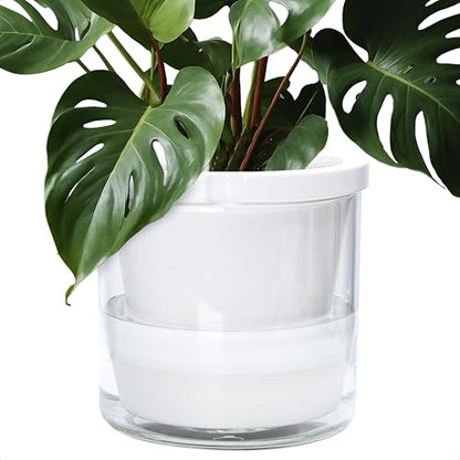 D'vine Dev Self-Watering White Terracotta Planter Pot, 10 in, 37-X-D-2 - color: White, size: 10 Inch