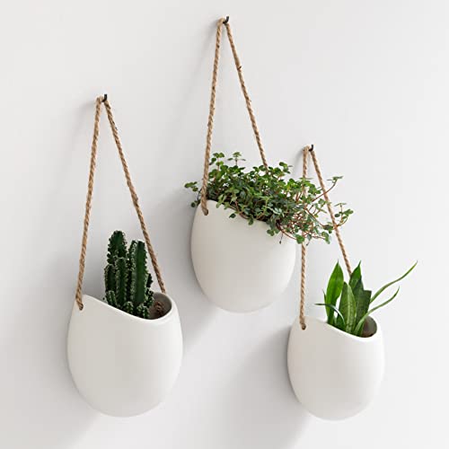 Kazai. Wall Planters -Ellie- | Hanging Ceramic Plant Pots 3 Pieces | Wall Decoration for Indoors, Balcony and Garden | White (Matte) - color: White (Matte), size: Set of 3 - Standard