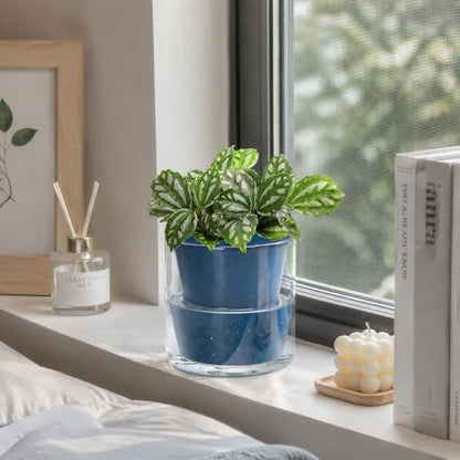 D'vine Dev Self-Watering Blue Terracotta Planter Pot, 4 in, 37-X-A-4 - color: Blue, size: 4 Inch