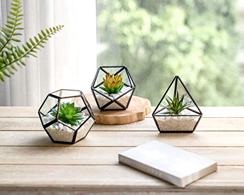 Mkono 3 Pack Fake Succulent in Geometric Glass Terrarium Black Office Decor - color: Black