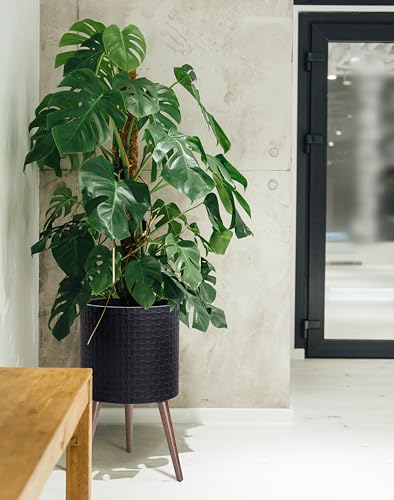 D'vine Dev Planter Pot with Wood Stand, 14 in, Matte Black, 88-Z-D-2 - color: Matte Black, size: X-Large