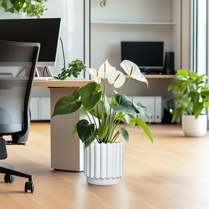 Ceramicfor Ceramic Plant Pot, 9.6 Inch, White - color: Matte White, size: 9.6 Inch