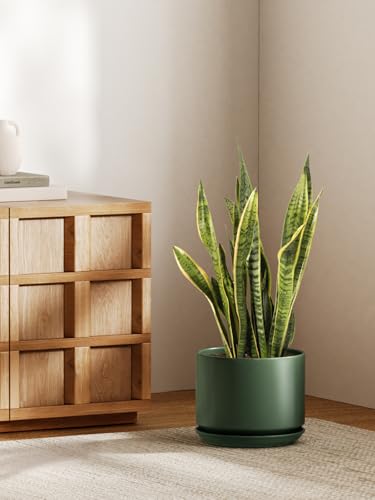 LE TAUCI 10 inch Plant Pot, Ceramic Pots for Plants, Forest Green - color: Forest Green, size: 10"