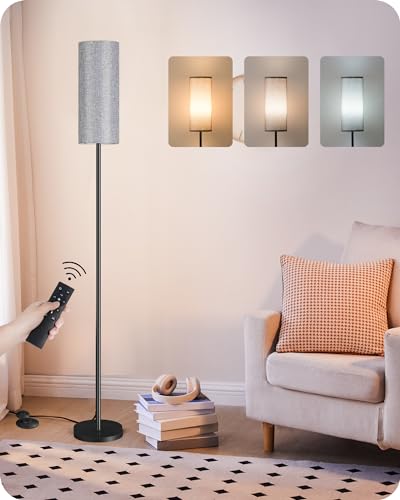 Dimmable Gray Floor Lamp for Living Room with Remote and Foot Switch, Corner Floor Lamp for Bedroom, Modern Standing Tall Lamp, 10W 900LM Bulb Included, 3000K-6500K, Linen Shade, FCC Listed H06LD05W1 - color: Gray