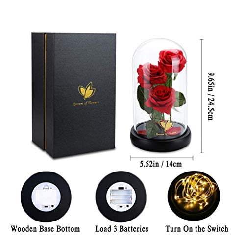 Beauty and The Beast Rose for Mom, Birthday Gifts for Women, Light Up Roses, Glass Dome Rose with LED Lights, Red Roses, Women's Gift for Mom Wife Grandmother - color: Red