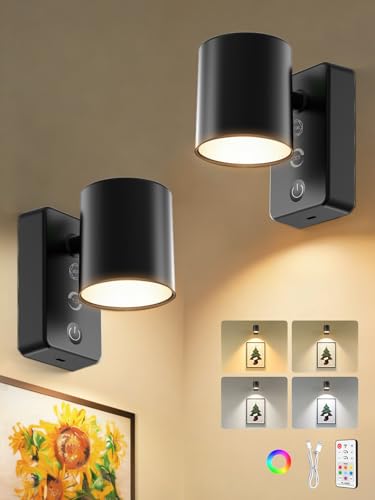 ALUSSO Battery Operated Picture Light for Wall, Rechargeable Wireless with Remote, Dimmable LED for Picture Frame, 4 Temps 9 RGB, 24° Narrow Beam Art Spotlight, 2 Pack