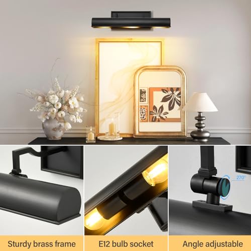 Art Picture Wall Sconce,Linear Artwork Display Wall Lights - color: Black, size: 18"-3 Bulbs