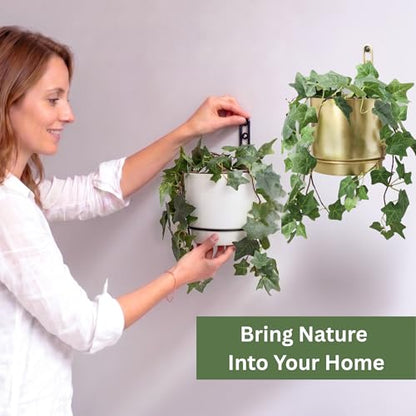 Self-Watering Gold Wall Planters Indoor (5.9 inch) - color: Gold