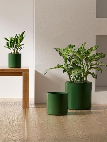 LE TAUCI 10+8+6 Inch Ceramic Pots for Plants, Indoor Planters with Drainage Hole and Plug, Modern Cylinder Flower Pots Set of 3 for Living Room and Kitchen, Glossy, Bamboo Green - color: Bamboo Green