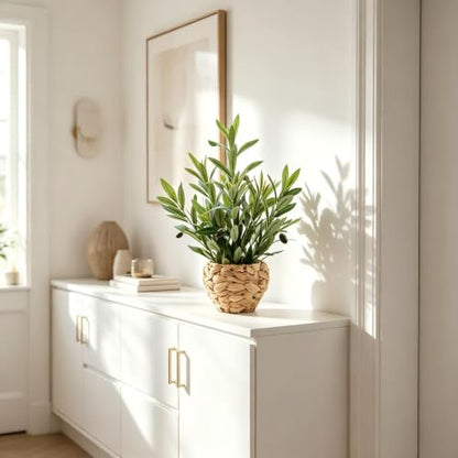AlphaAcc Fake Potted Plant Small Olive Water Hyacinth Mediterranean Decor - color: Green Olive Plant 17.7" H