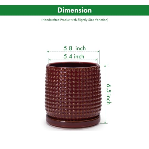 D'vine Dev Beaded Ceramic Pot with Saucer, 6 in, Burgundy Red, 27-C-X-M - color: Burgundy Red, size: 5.8 Inch