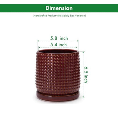 D'vine Dev Beaded Ceramic Pot with Saucer, 6 in, Burgundy Red, 27-C-X-M - color: Burgundy Red, size: 5.8 Inch