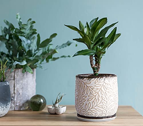 D'vine Dev Embossed Leaves Ceramic Planter, 5 in, Smoked White, 27-A-V-1 - color: Smoked White, size: 5 Inch