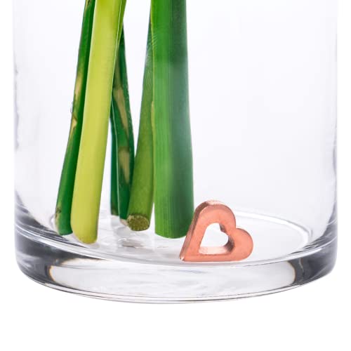 Flower Food Alternative for Fresh Cut Flowers. Copper Charm Keeps Flower Water Clean and Clear. Just Place it in the Vase, Reusable Heart 5 - color: Heart, size: Pack of 5