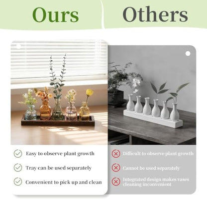 Glasseam Glass Bud Vase for Centerpiece: Small Flower Vases in Wooden Tray - color: Colorful-amber