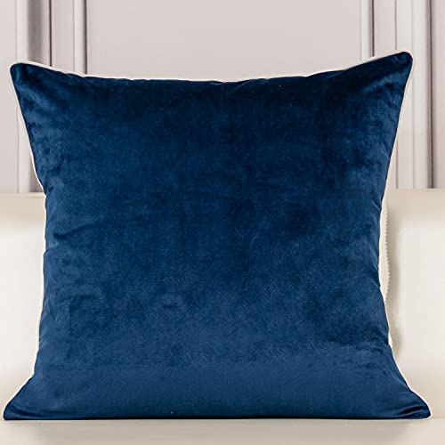 Aeckself European Floral Pillow Cover 20x20 Inch, Luxury Velvet Embroidered Decorative Throw Pillow Cover for Couch Bedroom Living Room, Navy Blue and White - color: Navy Blue, size: 20" x 20" (Pack of 1)