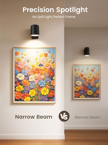 ALUSSO Battery Operated Picture Light for Wall, Rechargeable Wireless with Remote, Dimmable LED for Picture Frame, 4 Temps 9 RGB, 24° Narrow Beam Art Spotlight, 2 Pack