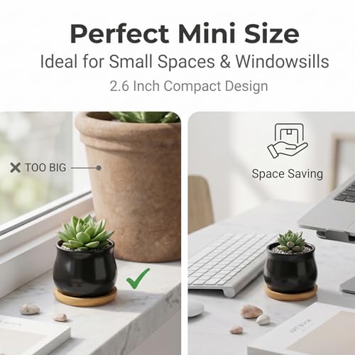 SHECIPIN 8 Pack Succulent Plant Pot, Matte Black Mini 2.6 inch Ceramic Flower Planter Pot with Bamboo Tray, Small Pots for Plants, Plants Not Included - color: Black