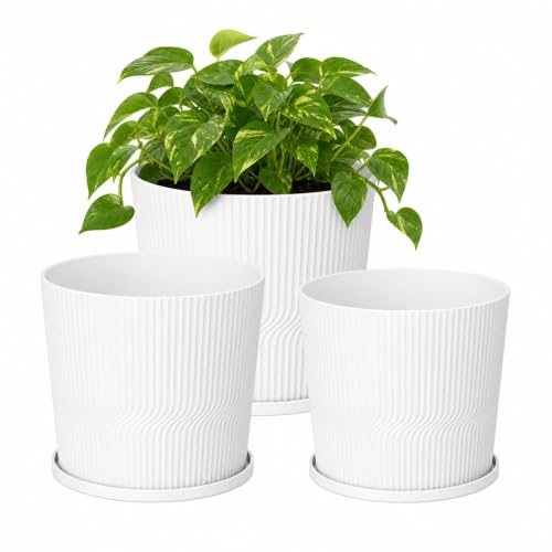 QCQHDU 3 Pack Plant Pots Indoor,4.8+5.5+6 Inch Succulent Pots,Small Flower Pots with Saucers & Drainage Bulk,Plastic Mini Pots for Orchids,Violets,Succulents,Herbs,and Other Plants - color: White, size: 4.8''+5.5''+6''