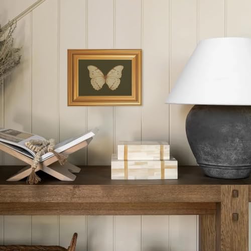 EJPFOGV Butterfly Framed Canvas Wall Art Dark Green Background 8x10 inches - color: Butterfly, size: 10"L x 8"W