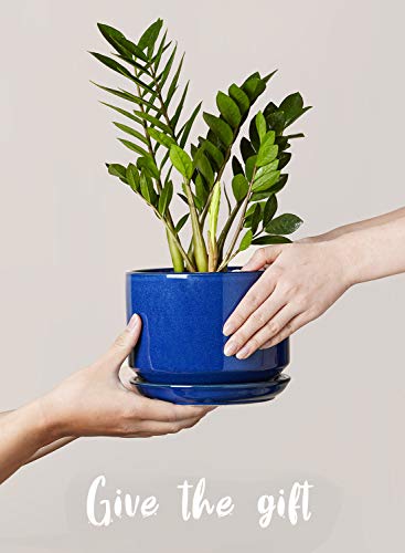 LE TAUCI Ceramic Pots for Plants, 4.3+5.3+6.8 Inch, Set of 3, Sapphire Blue - color: Sapphire Blue, size: 4.3"+5.3"+6.8"