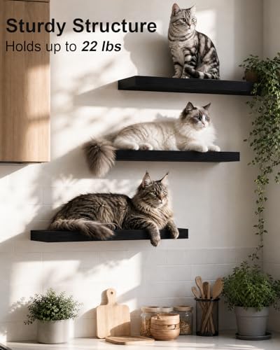 Solid Wood Floating Shelves for Wall – 16 Inch Floating Shelf for Kitchen, Bedroom, Living Room, Bathroom - Mounted Bathroom Shelves with Invisible Brackets (Black, 3 Pack)