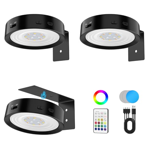 Picture Lights for Wall, Rechargeable Battery Magnetic Wall Lights with 3 Color Temps and 12 RGB, Picture Light with Remote, Dimmable and Timer, Decor Light for Painting/Frame/Art Display - color: Black