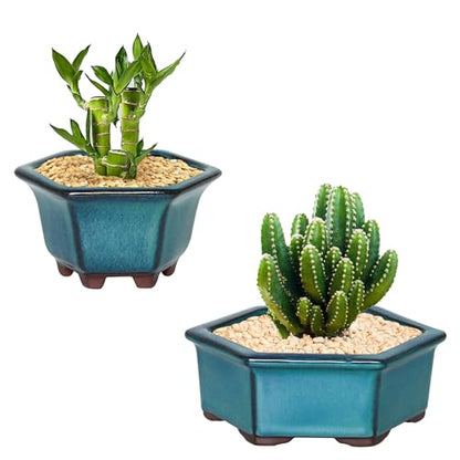 Bonsai Planter 2pc Small Succulent Glazed Pots 4.9" and 6.1" + 6 Soft Mesh Drainage Screens - style: Style B&D1