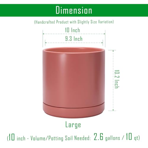 D'vine Dev 10 Inch Ceramic Planter Pot, Dusty Rose, 94-O-E-R - color: Dusty Rose, size: Large