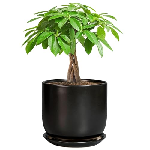 Ceramic Planter 7 Inch Plant Pot with Drainage, Black - color: Matte Black, size: 7 Inch
