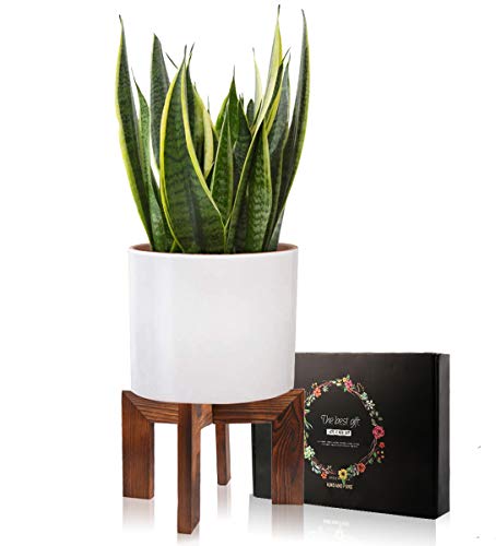 Gendral Forwepup Wood Plant Stand, Mid Century Modern Planter, Rattan Flower Pot Stand, Low Short Plant Stands for Indoor - Boho Rustic Wooden Stool for Plant Pot Holder, Fit 5-15 Inch Pot - color: 1 Wood Grain