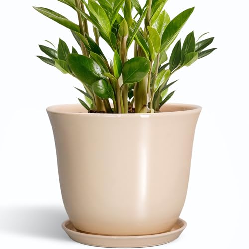 Ceramic Planter, 10 Inch Plant Pot for Indoor Plants, Beige - color: Beige, size: 10 Inch