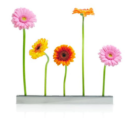 XXD Flower Boulevard Vase – an Vase – Impressed by Design