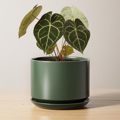 LE TAUCI 6.8 Inch Ceramic Pots for Plants, Indoor Plant Pot, Forest Green - color: Forest Green, size: 6.8"