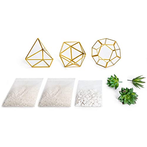 Mkono 3 Pack Fake Succulents in Geometric Glass Terrarium Gold Office Decor - color: Gold,green,clear