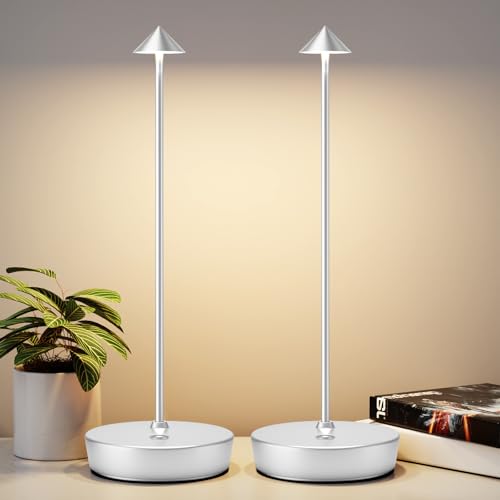 2Pack Rechargeable Cordless Table Lamp, Portable Powered LED Battery 6000mAh Metal USB Desk Lamp, 3 Levels Brightness Light for Restaurants Outdoor (2pack Silver) - color: 2pack Silver
