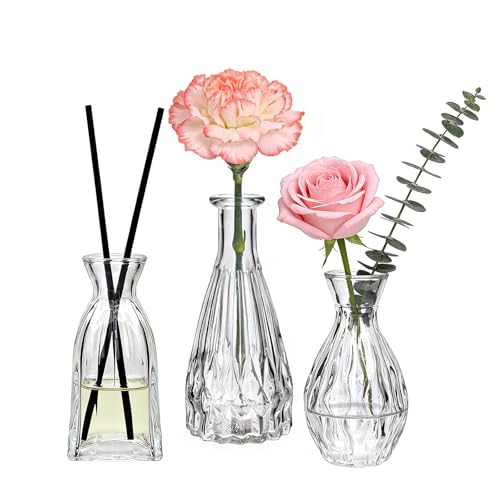 Glass Bud Vases in Bulk, 3pcs Small Glass Vase for Centerpieces - color: Clear, size: 3pcs
