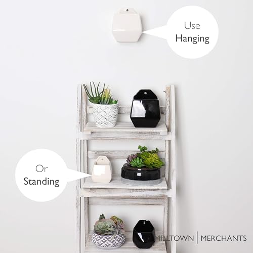 Succulent Wall Planters - Wall Vases - White Ceramic Wall Mounted Planters - Succulent Plant Pots - Hanging Vases for Living Wall (2 Pack/Contemporary/White) - color: Large White Contemporary