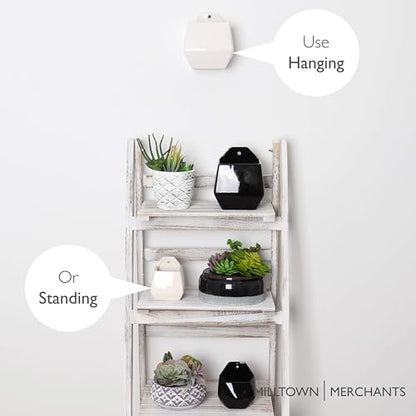 Succulent Wall Planters - Wall Vases - White Ceramic Wall Mounted Planters - Succulent Plant Pots - Hanging Vases for Living Wall (2 Pack/Contemporary/White) - color: Large White Contemporary