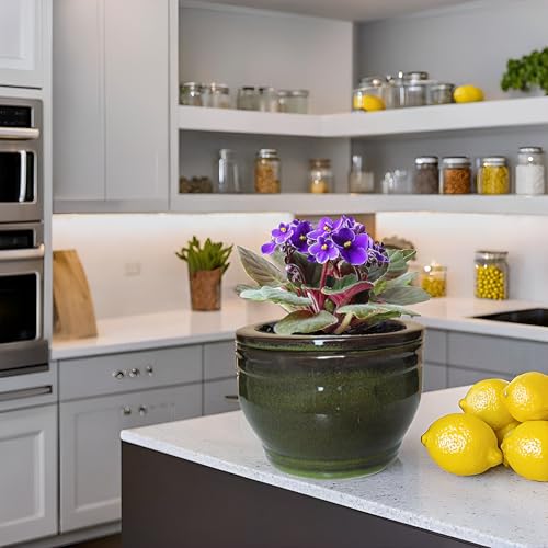 African Violet Self Watering Pots Olive drab 6 inch - color: Olive Drab