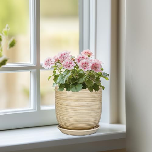Ceramic Plant Pot 5 Inch - Modern Round Succulent Planter for Indoor Plants with Drainage Hole and Saucer, Office Home Room House Decor, Yellow - color: Stripes Yellow, size: 5.3 Inch