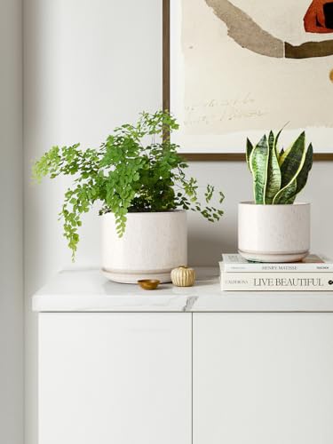 LE TAUCI Ceramic Pots for Plants, 4.3+5.3+6.8 Inch, Set of 3, Glazed Beige - color: Reactive Glaze Beige, size: 4.3"+5.3"+6.8"