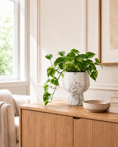 Self Watering Pots for Indoor Plants, 6 Inch Ceramic African Violet Pot - color: Marble 6″