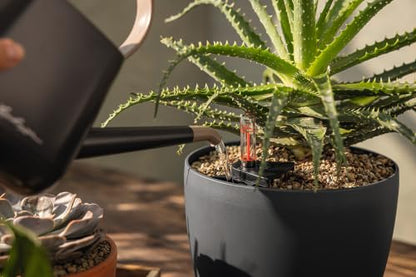 LECHUZA Classico Color 35 Slate, Self-Watering Round Planter, D13.8 H11.8 in, Slate Matt - color: Slate Matte, style: 35